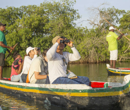 10°Censo Neotropical de Aves Migratorias de la Ciénaga de la Virgen y Juan Polo