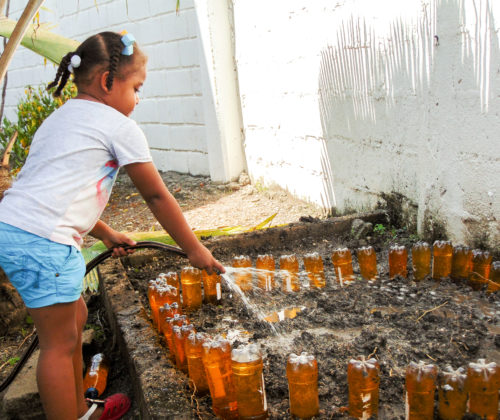 Huerta Comunitaria