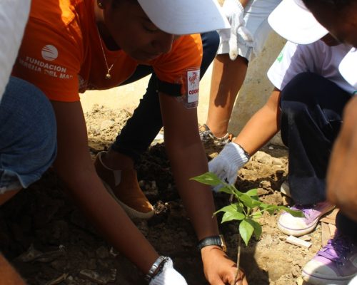 Jornada de siembra - Día del medio ambiente