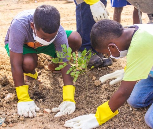 Niños de Tierra Baja sembrando árboles nativos