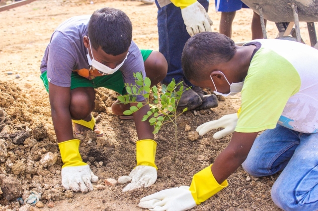 Niños de Tierra Baja sembrando árboles nativos