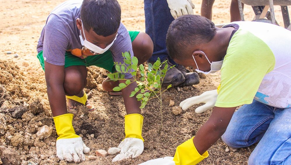 Niños de Tierra Baja sembrando árboles nativos