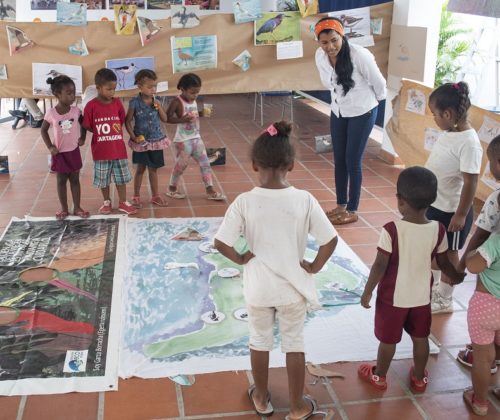 Niños y niñas demuestran su interés por conocer las aves migratorias que llegan cada año a Cartagena