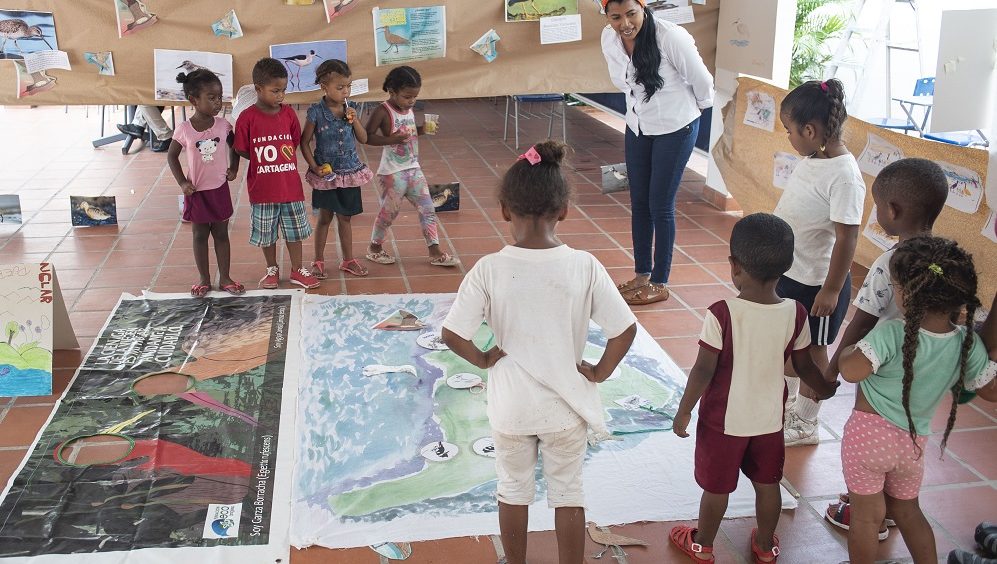 Niños y niñas demuestran su interés por conocer las aves migratorias que llegan cada año a Cartagena