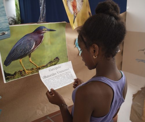 Nicol Esther Moreno durante actividad de Fotomuseo en el Festival de Aves Migratorias