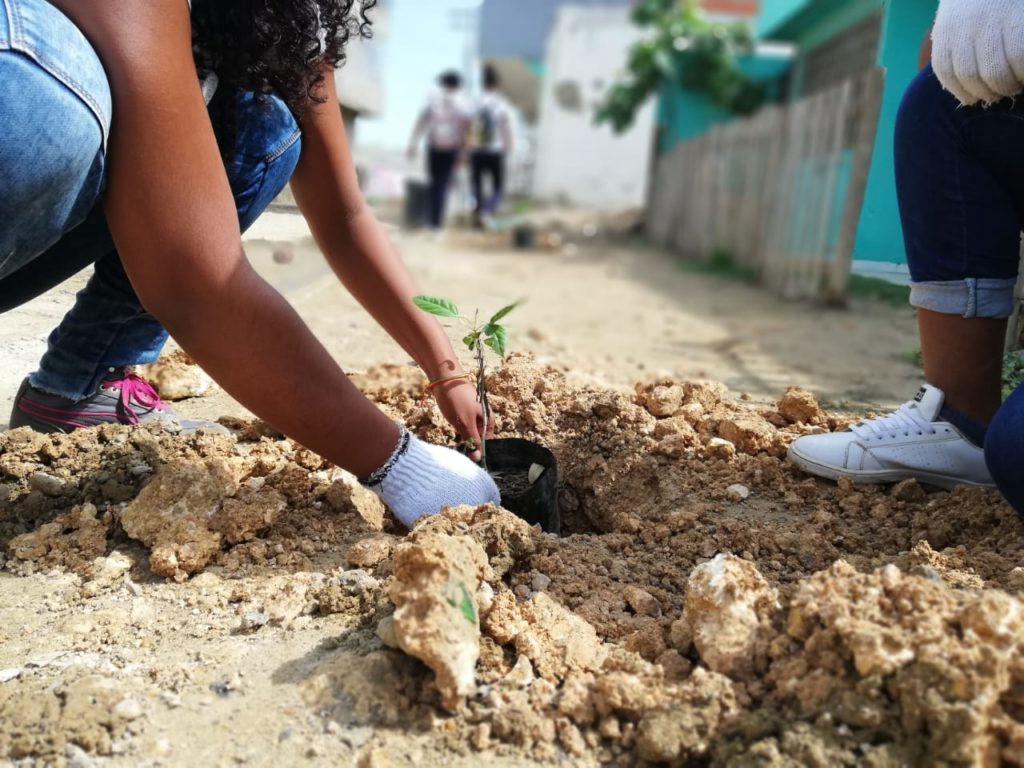 jornada-siembra-fundacion-serena-del-mar (1)