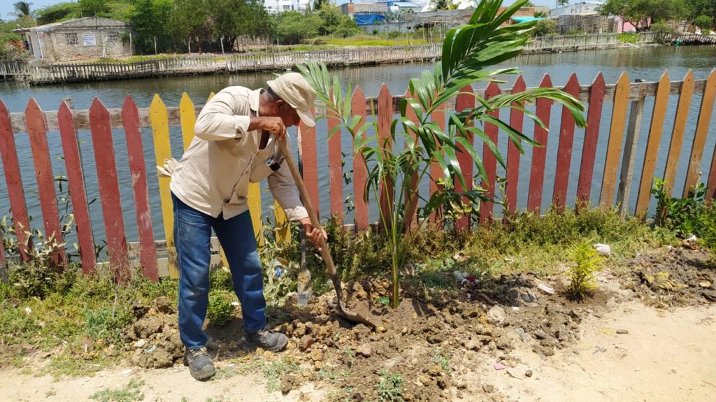 Fundación serena del mar dia del agua