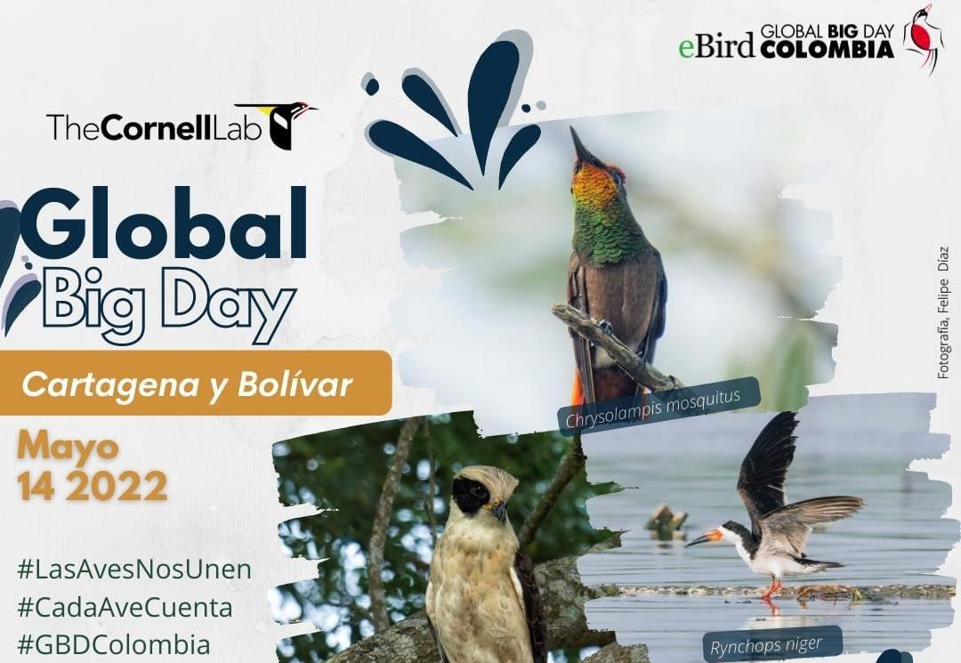 ¡Prográmate para disfrutar el Global Big Day 2022! Fundación Serena